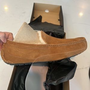 Ugg Ascot Slippers for Men - Size 12.  Brand new in box never worn.